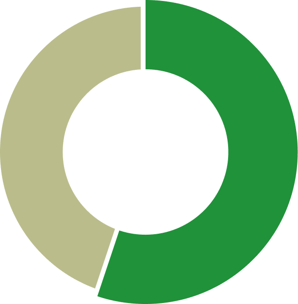 Market export Japan